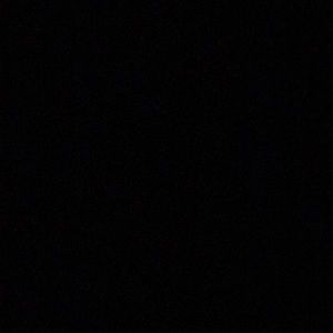 Meet your Posher, Bebe